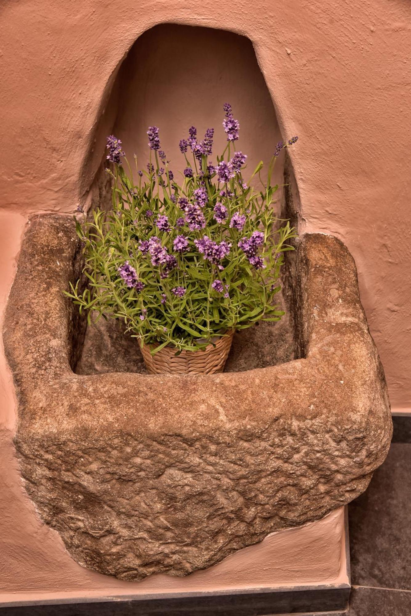Casa Vacanze Tra I Monti E San Martino Biassa Extérieur photo