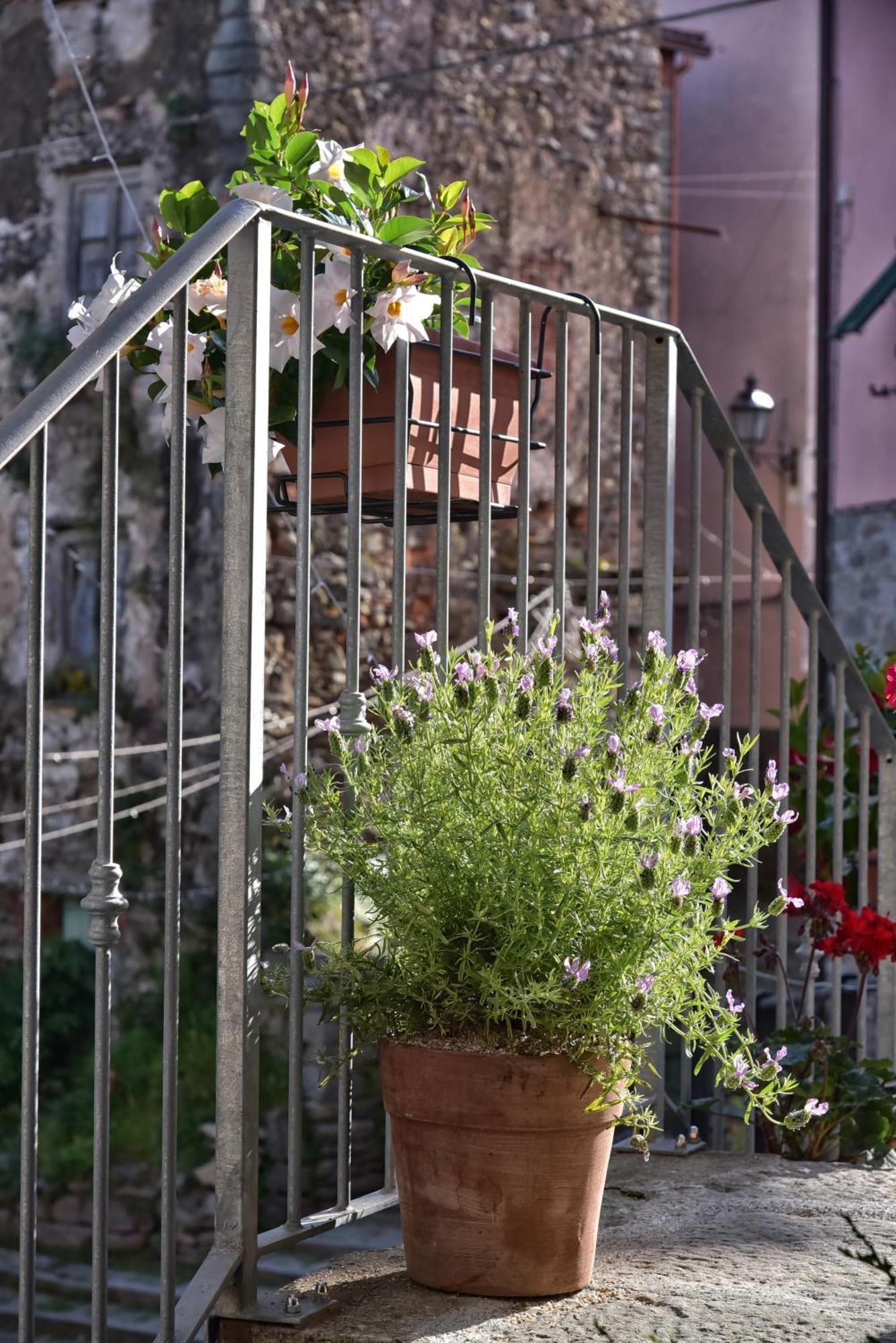Casa Vacanze Tra I Monti E San Martino Biassa Extérieur photo